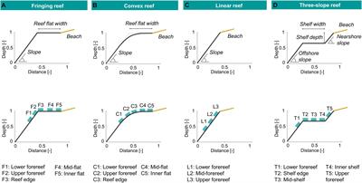 Coral Reef Restorations Can Be Optimized to Reduce Coastal Flooding Hazards